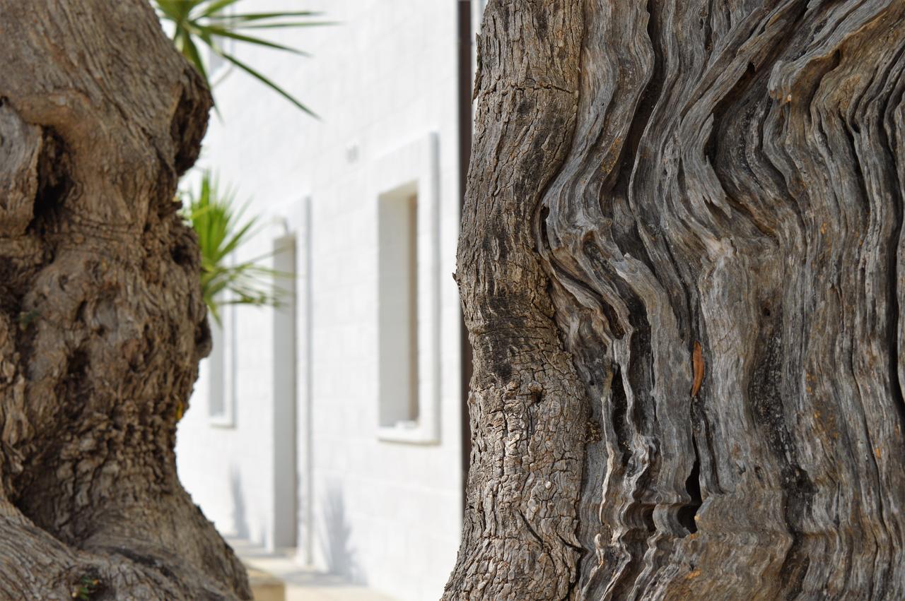 Masseria Torrepietra モノーポリ エクステリア 写真